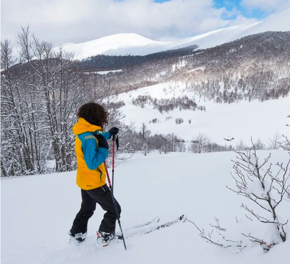Winter Wildlife Ski Safari – Ski Touring1