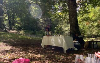Luxury Safari Trips in Europe with hyper-local and surprise dining experiences